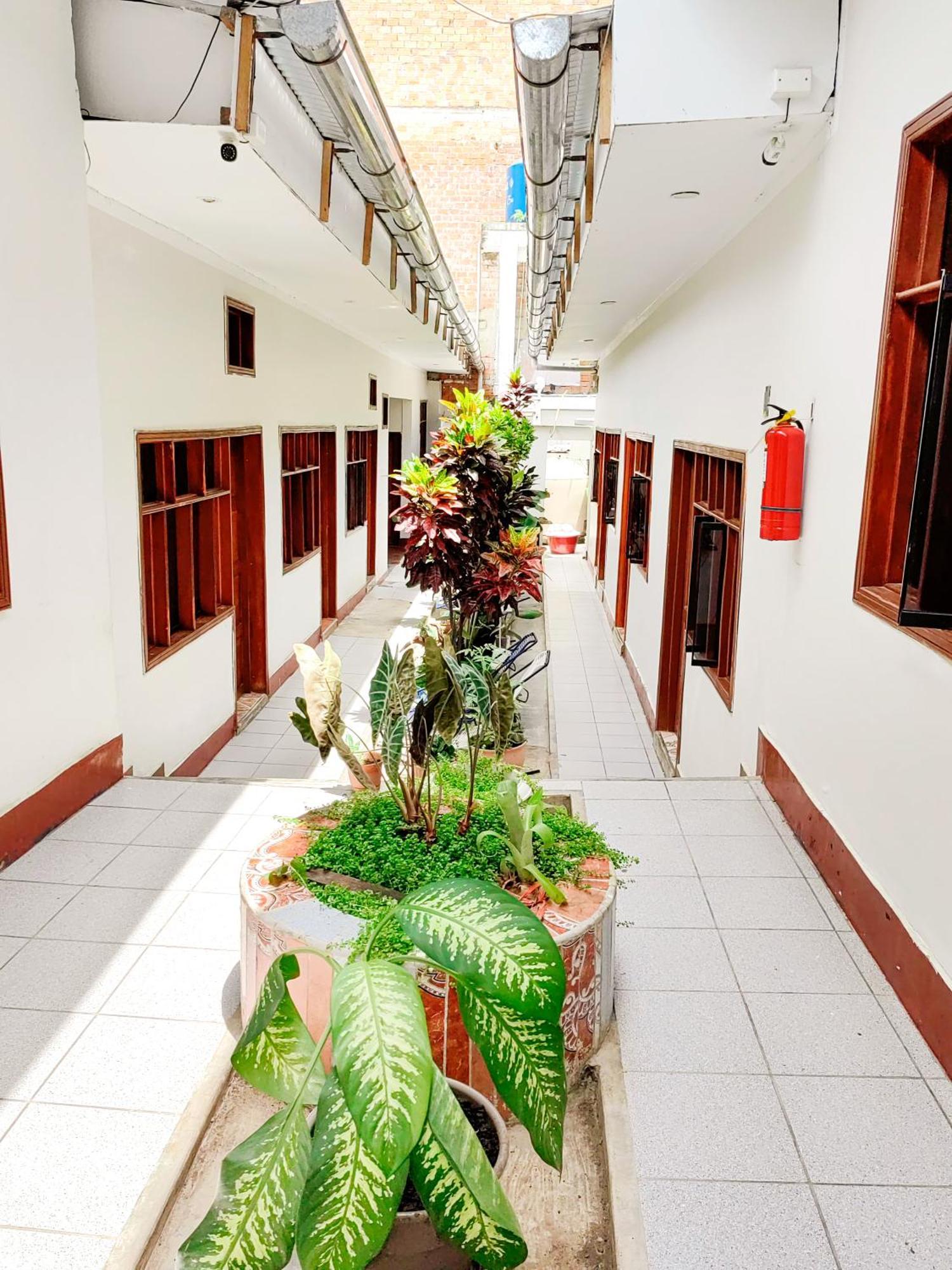 Tengana Hospedaje Y Tours Tarapoto Exteriör bild